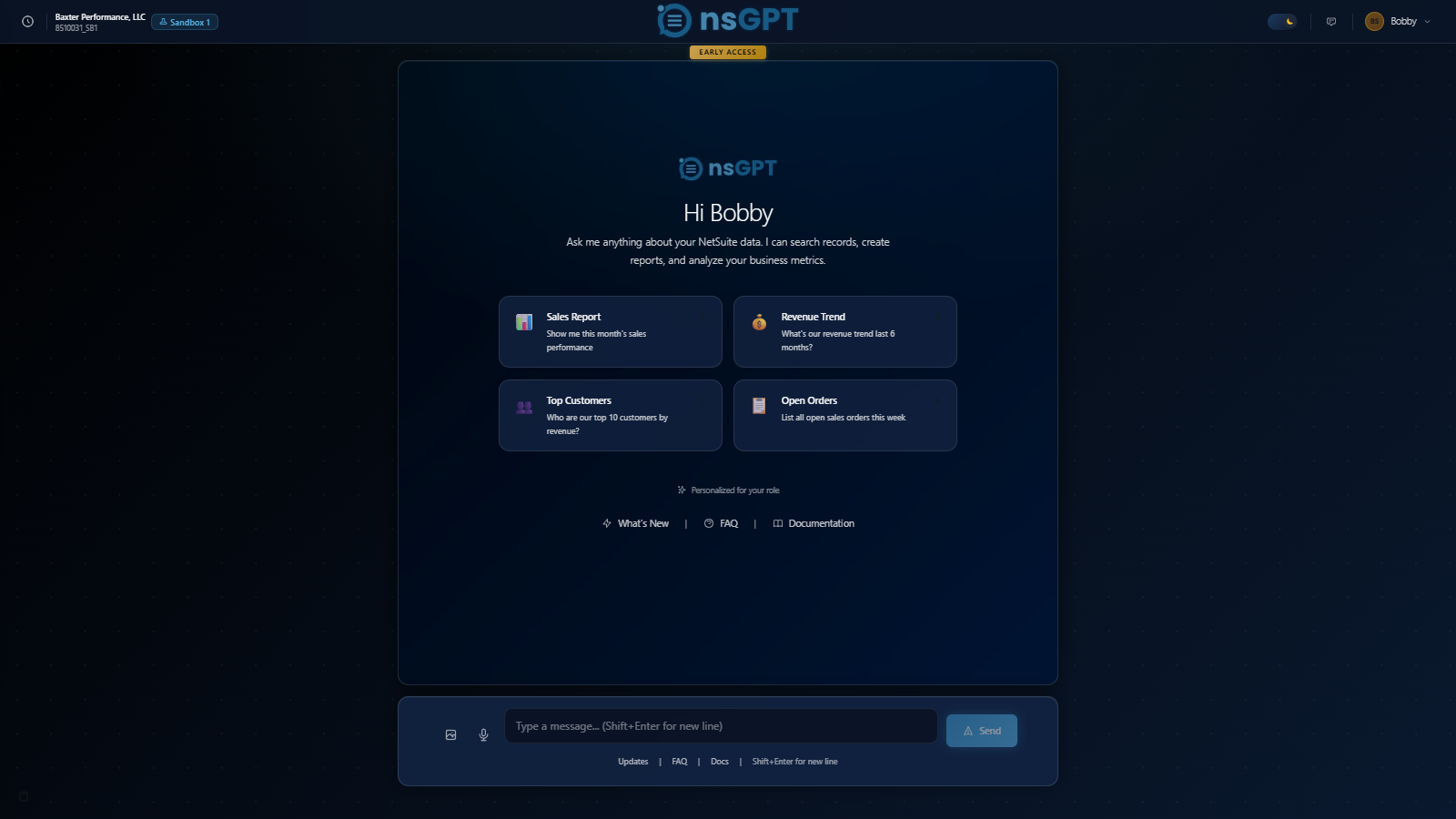 nsGPT Interface Overview